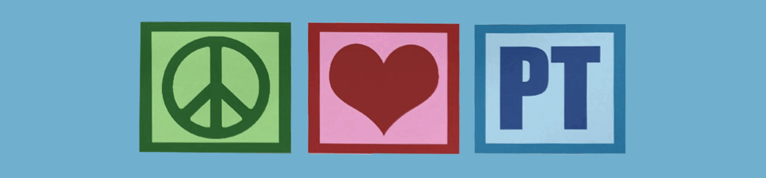 Why did I become a Physical Therapist?